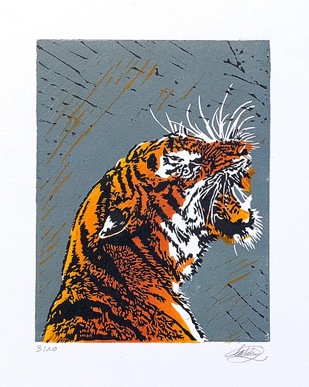 Tigre en linogravure